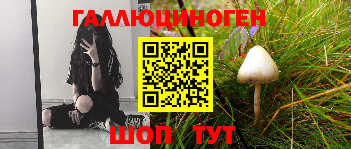 Псилоцибиновые грибы Psilocybine cubensis Камышлов