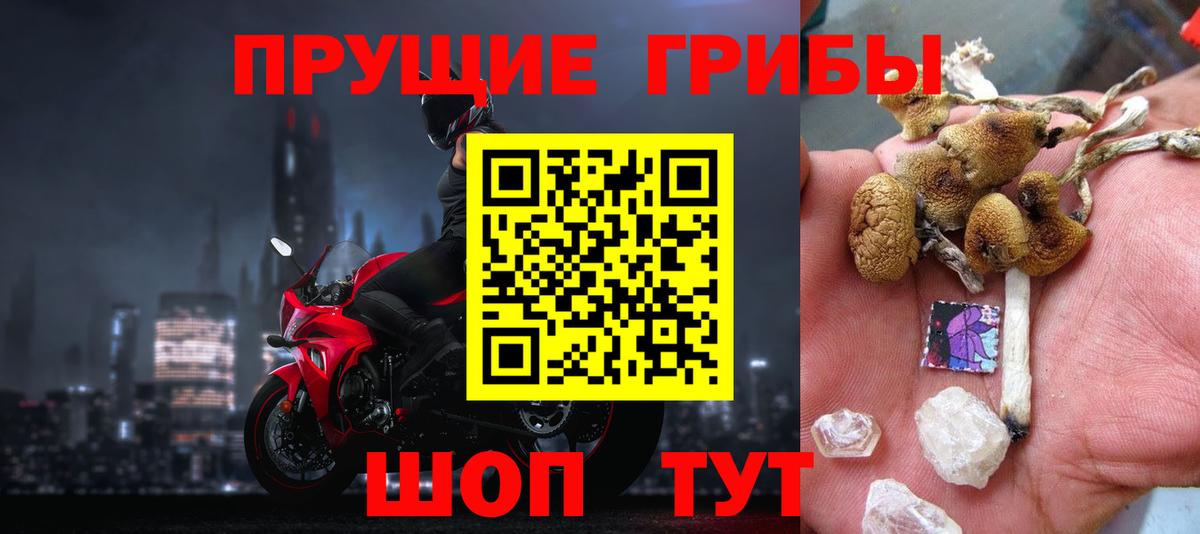 Псилоцибиновые грибы MAGIC MUSHROOMS  Галлюциногенные грибы Cubensis  Камышлов  Вход с VPN 